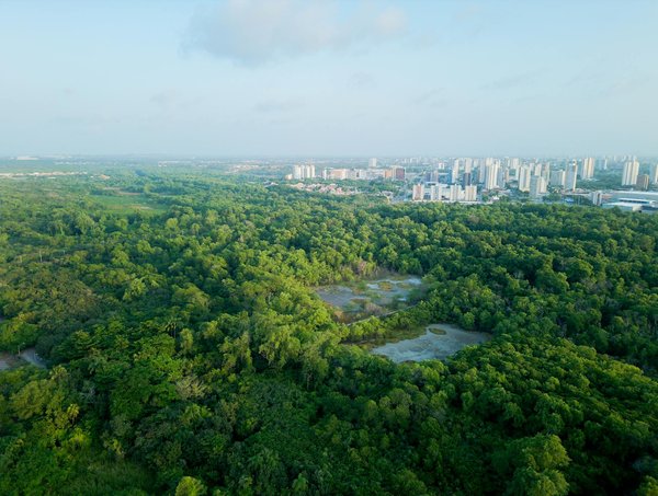 Abris de jardin DIY : guide pour une construction autonome