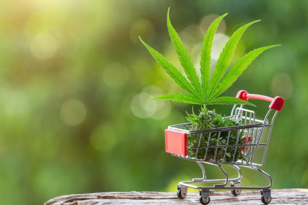 Livraison de cbd à paris : le service est-il payant ou gratuit ?