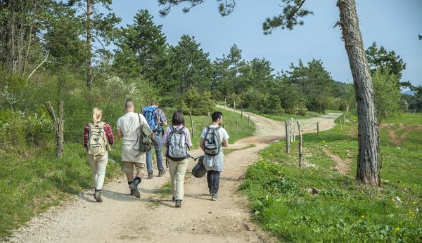 Où trouver des campings avec sentiers de randonnée sur l'Île d'Oléron ?
