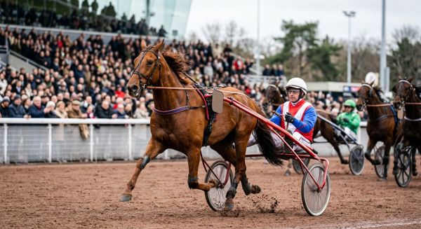Qui sont les favoris pour le Prix d'Amérique PMU 2024 ?
